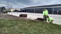 Sod Installation