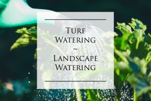 Turf & Landscape Watering