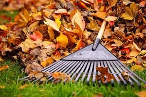 Preparing Your Lawn & Landscape For Winter
