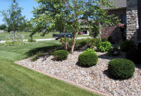 Tree and Shrub Installation