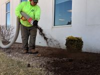 How To Prepare Your Lawn & Landscape This Spring