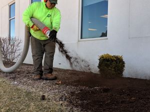 How To Prepare Your Lawn & Landscape This Spring